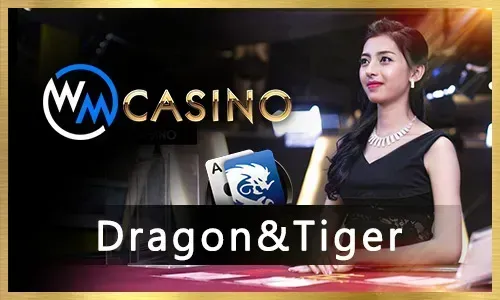 A collage of various Winph casino games, including vibrant slot machines and a live dealer table, highlighting the diverse gaming options available to players